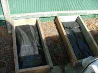 Sample Photo from Album Number 158
