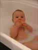 Thumbnail of Photo Number 1534
