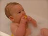 Thumbnail of Photo Number 1535