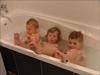 Thumbnail of Photo Number 1541