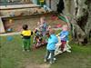 Thumbnail of Photo Number 201