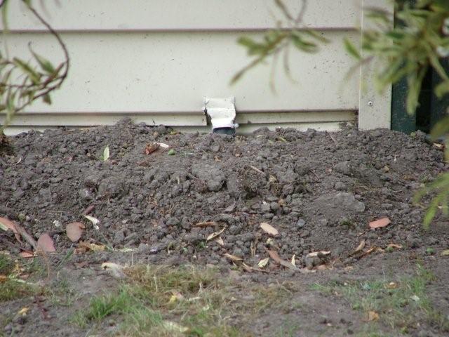 Photo Number 2011