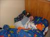 Thumbnail of Photo Number 233