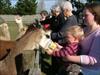 Thumbnail of Photo Number 2420