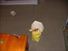 Thumbnail of Photo Number 2831