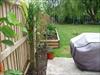 Thumbnail of Photo Number 3343