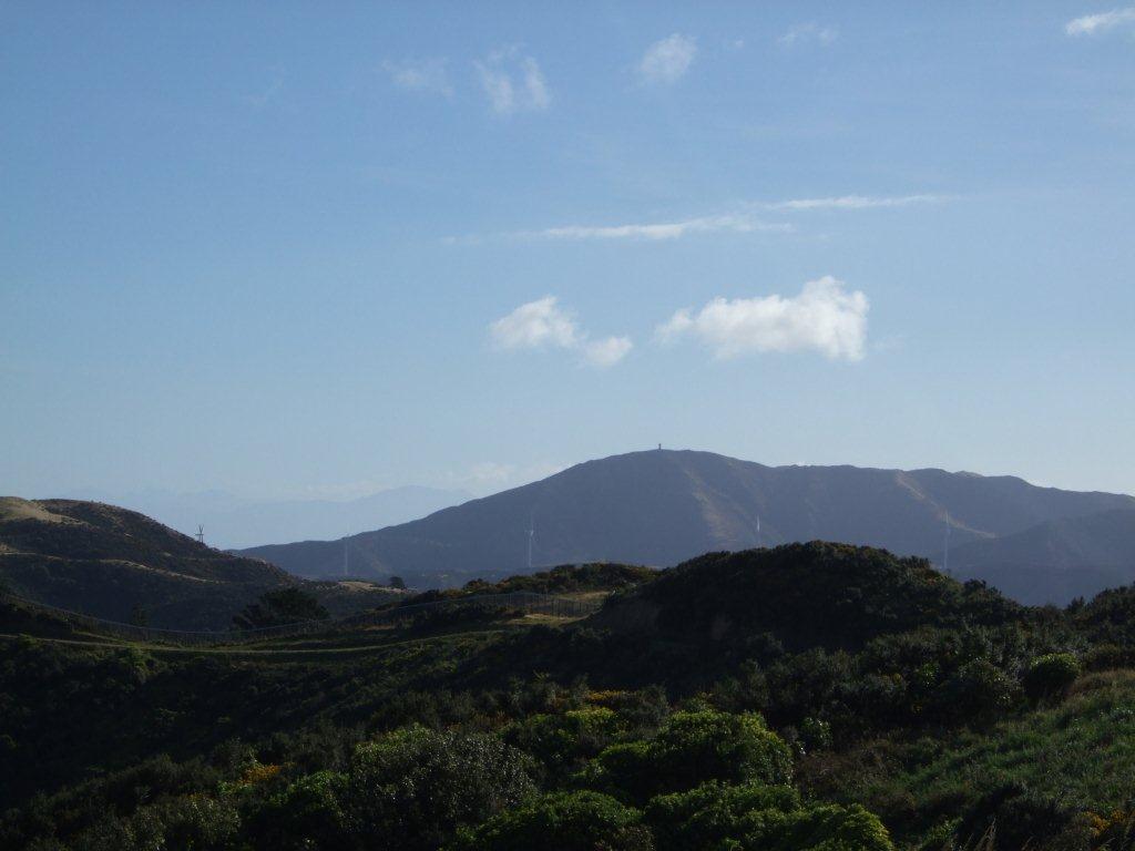 Photo Number 4719