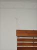 Thumbnail of Photo Number 5313