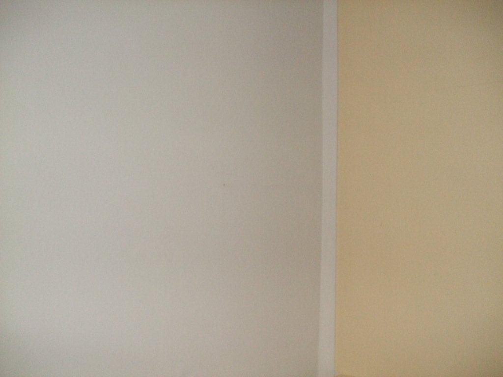 Photo Number 5323