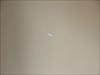 Thumbnail of Photo Number 5422