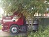 Thumbnail of Photo Number 6160