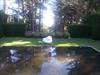 Thumbnail of Photo Number 7916