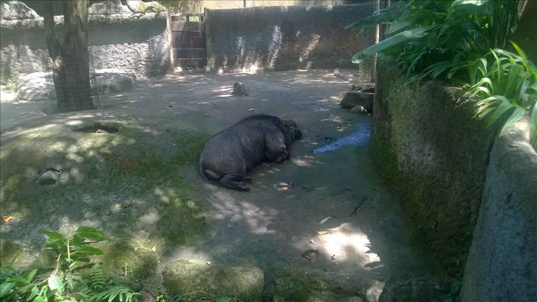 Photo Number 8650